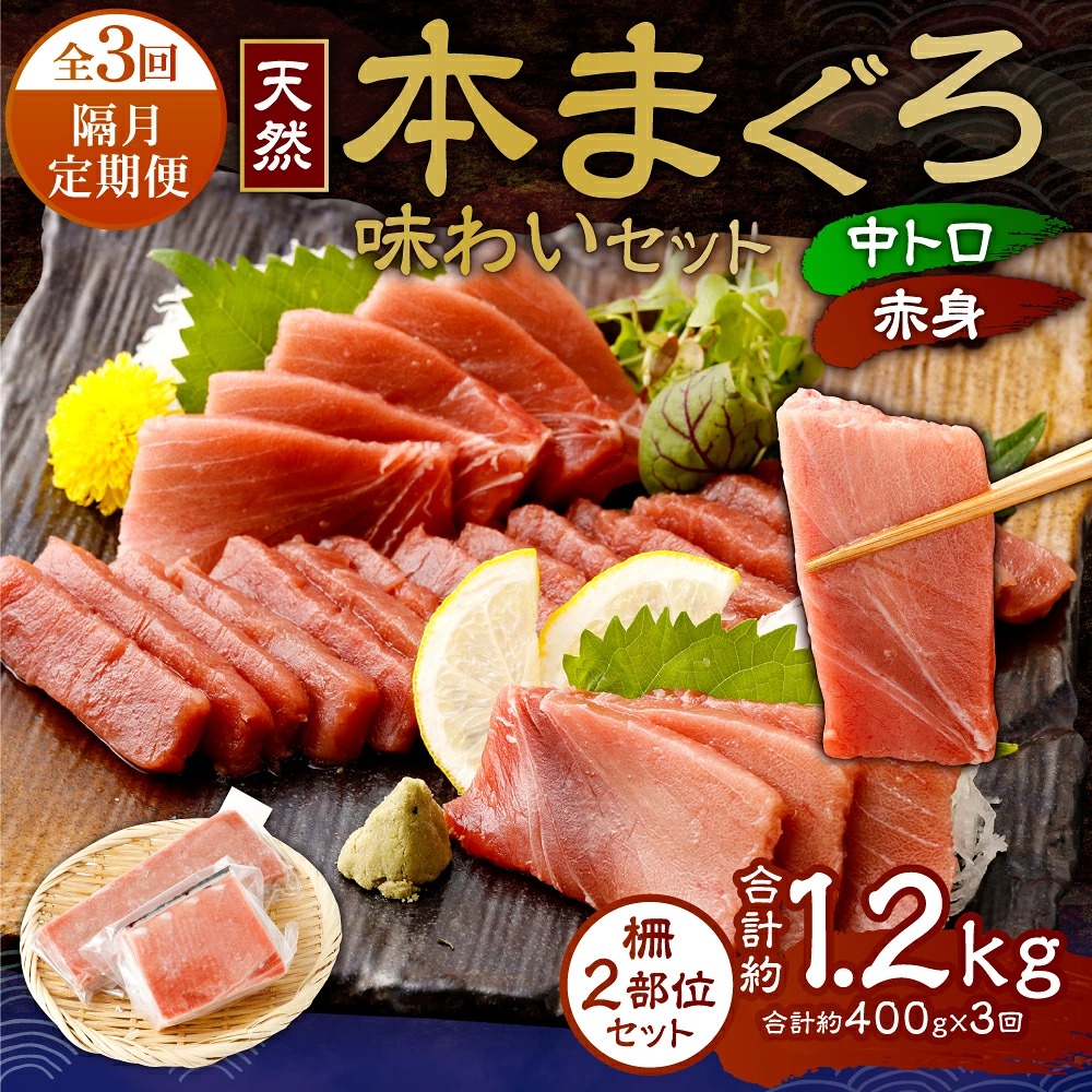 【 定期便 全３回 隔月 お届け 】まぐろの王様！天然本まぐろ味わいセット ２カ月に１回　合計３回  サク 柵 スライス 切落し セット 天然 天然まぐろ 天然マグロ まぐろ 鮪 刺身 高知県 室戸市 tk028